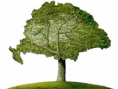 Home Page Image